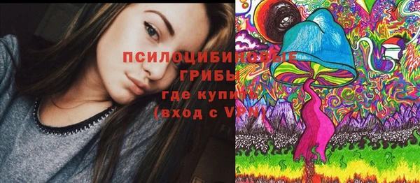 шишки Нефтегорск
