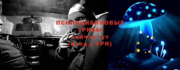гашик Надым