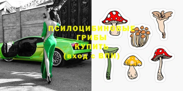 гашик Надым