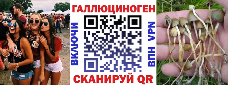 OMG ссылка  Лукоянов  Псилоцибиновые грибы ЛСД 